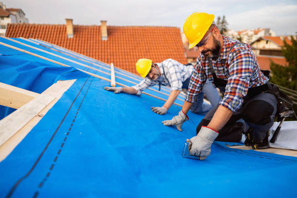 Professional Roof Repair & Installaion in Warner Robins, GA